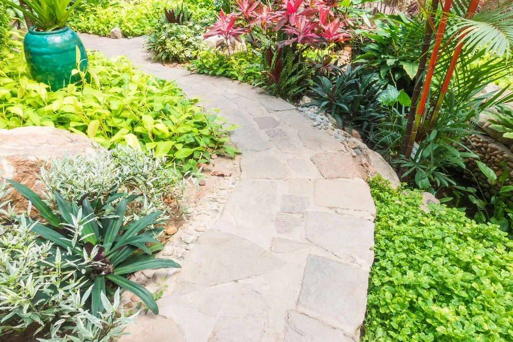 Jardin