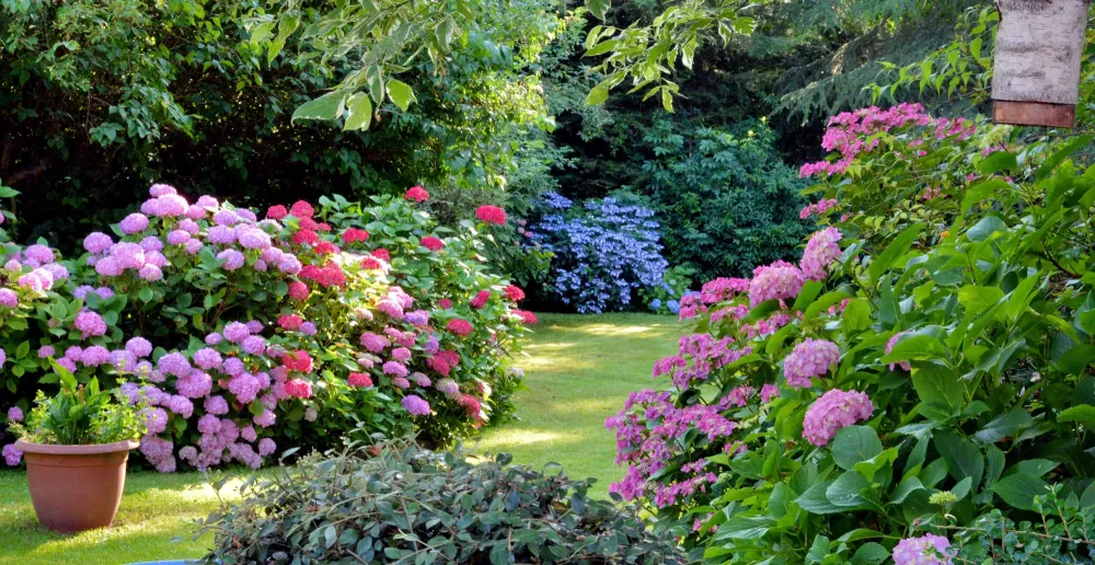 création de jardin à Saint-Quentin-de-Baron